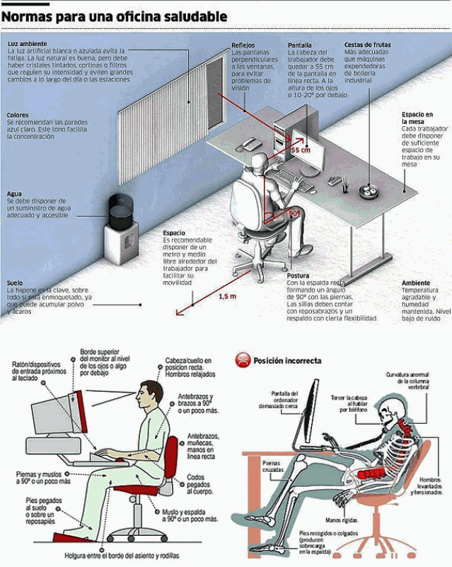 normas para una oficina saludable ergonomia.png